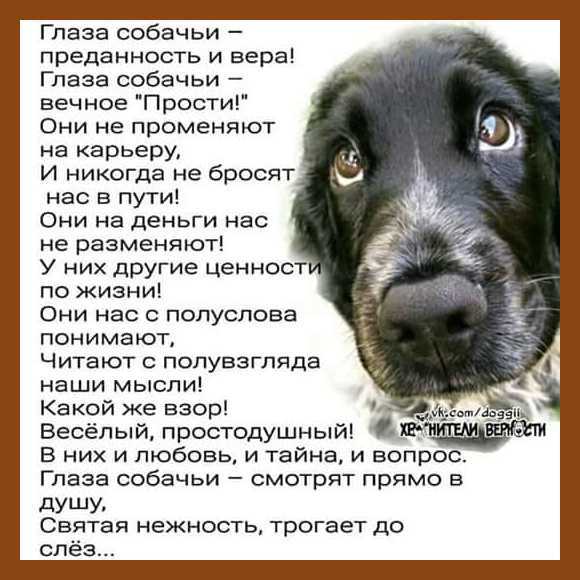 Преданность – что это такое, в чем её ценность?