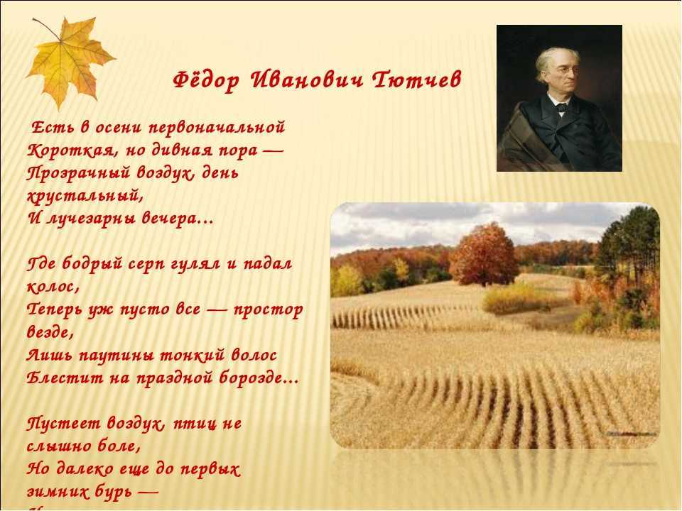 Стихи тюменских поэтов на - сборник красивых стихов в доме солнца