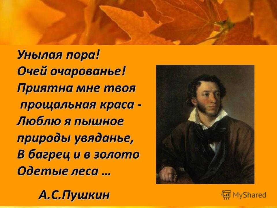 Стихи пушкина - любимые и известные | rl разные люди