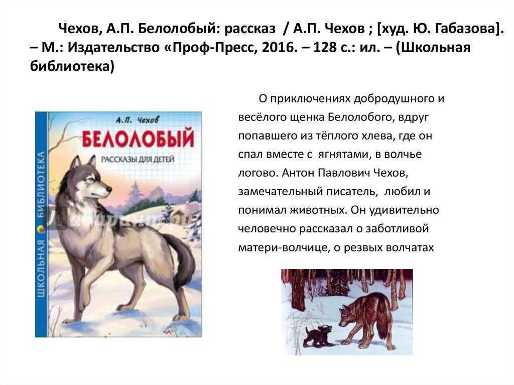 Рассказ Чехова для детей Белолобый раскрывает психологию голодной волчихи, случайно утащившей из хлева вместо ягнёнка щенка Белолобого, и роль случая в жизни