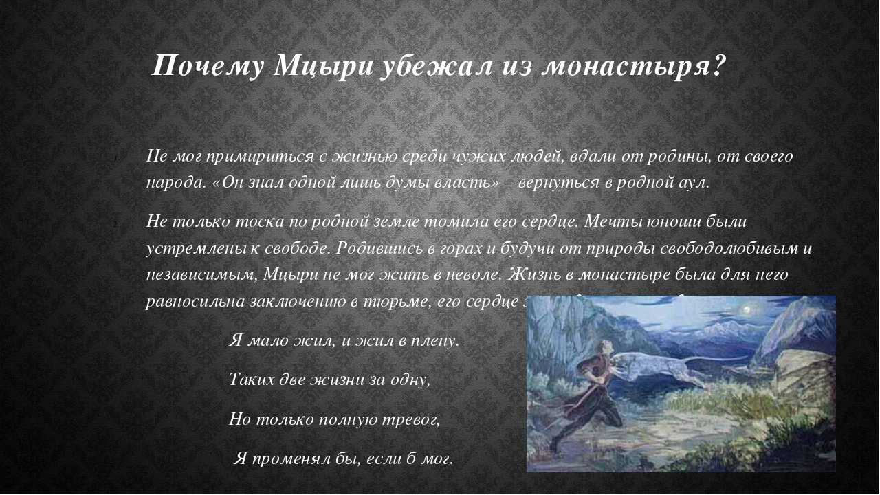 В чем для мцыри смысл жизни? (мцыри лермонтов)