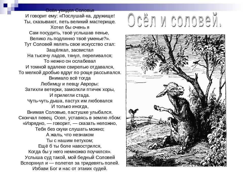 «осел и соловей» ℹ️ анализ и мораль басни и.а. крылова, характеристика персонажей, тема, идея и основная мысль, жанр, композиция произведения