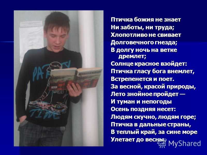 Владимир маяковский 📜 птичка божия