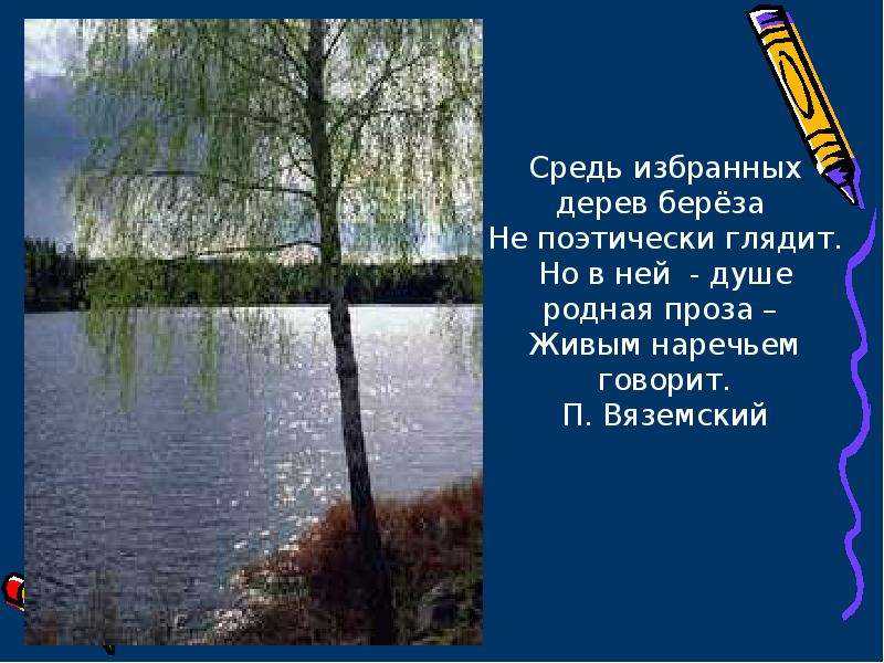 Стихи вяземского. читать онлайн.