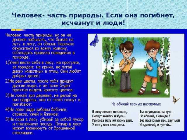 Что такое природа. сочинение о нашей планете