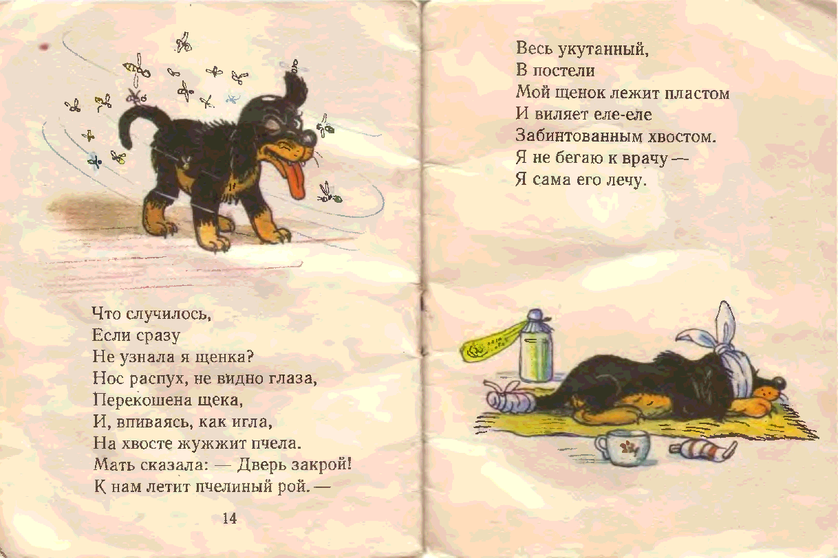 Басня михалкова заяц и черепаха