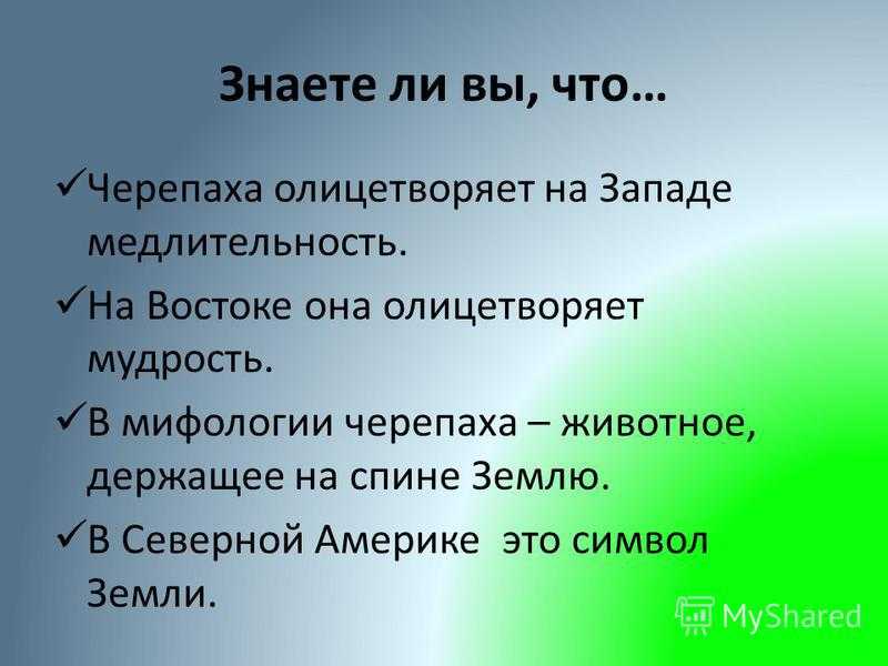Л. пиранделло «черепаха» 7 класс онлайн-подготовка на ростелеком лицей | тренажеры и разбор заданий