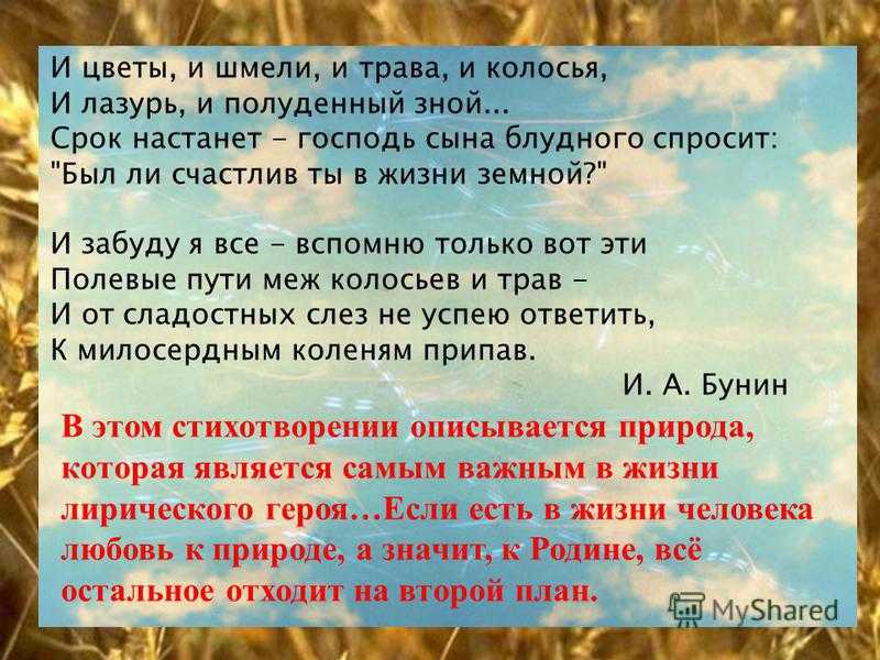 Разработка сюжетов евангельских притч в творчестве бунина и цветы и шмели и трава и колосья
