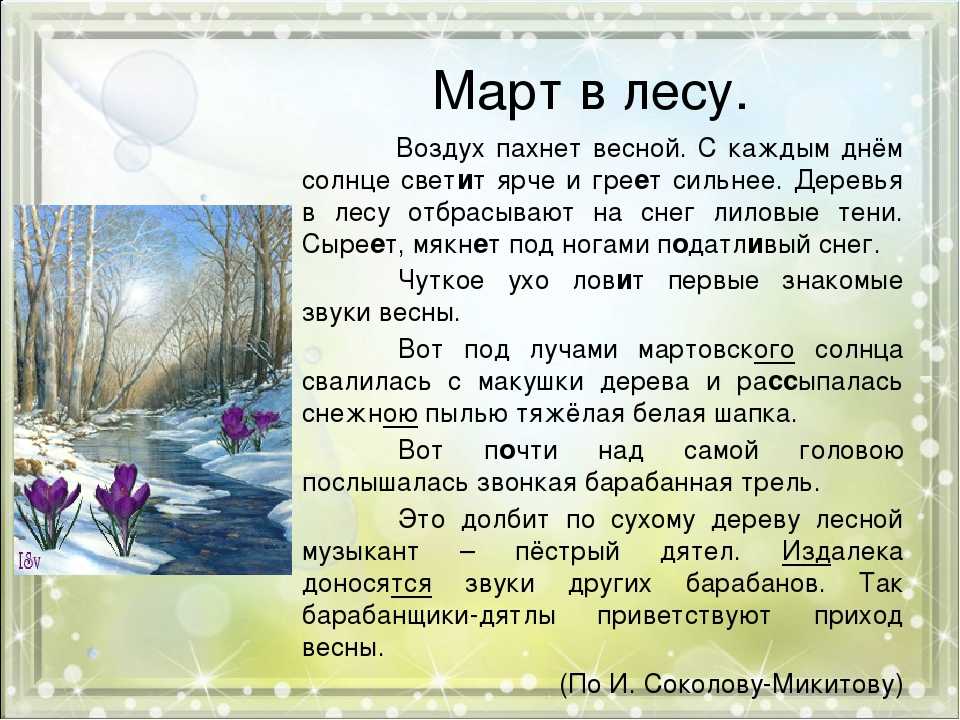 Описание весеннего леса как хорошо ранней весной. весна в лесу – сочинение
