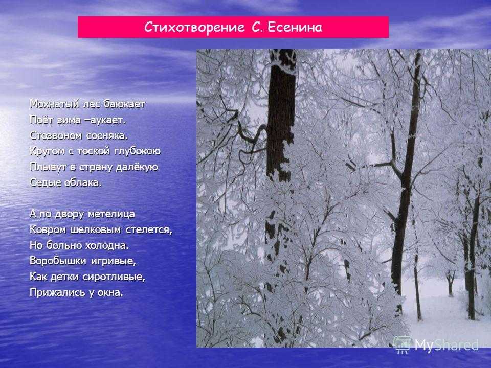 Примеры из стихотворений эпитеты есенина. Мохнатый лес. Поёт зима аукает мохнатый лес. Поет зима мохнатый лес Стозвоном сосняка. Стихотворение поёт зима аукает.