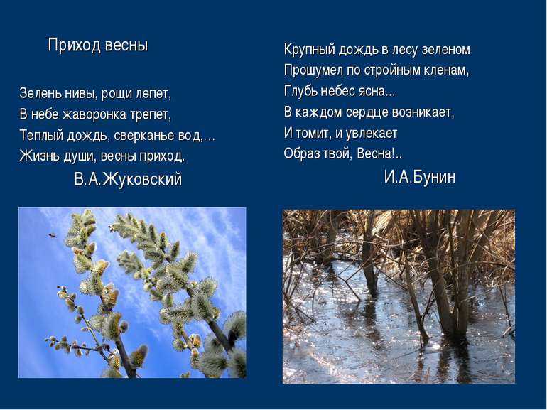 Анализ стихотворения жуковского «приход весны»