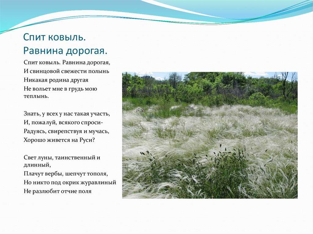 Анализ стихотворения "спит ковыль. равнина дорогая..." есенина с.а.