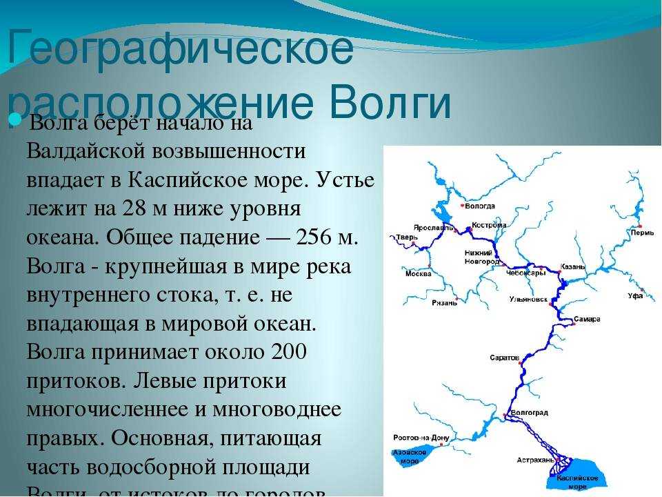 Наш город считается нефтегазовой столицей нашей страны Он находится на реке Туре, это левый приток Тобола Население перевалило за 700 тысяч Это больше, чем в Тольятти, и примерно столько же, как в Хабаровске Хоть и до Москвы далеко,