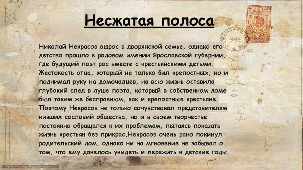 Несжатая полоса анализ