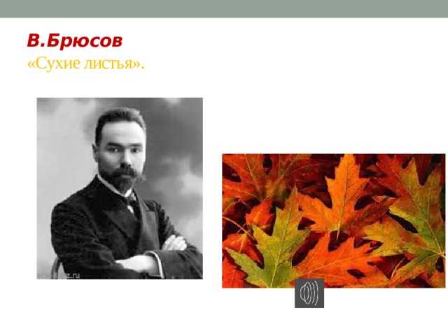 Понемногу: ответы на вопросы учебника к стихотворению в. брюсова "сухие листья" для 2 класса