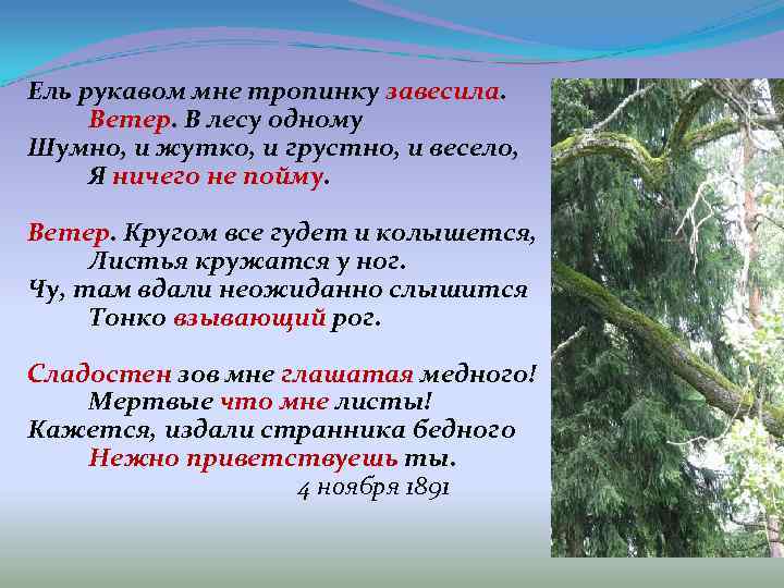 А. а. фет «ель рукавом мне тропинку завесила» анализ стиха