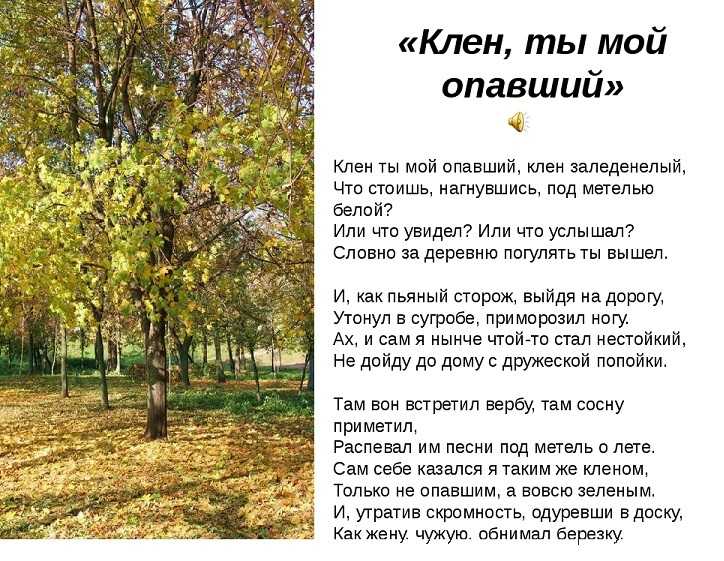 Сергей есенин - листья падают, листья падают