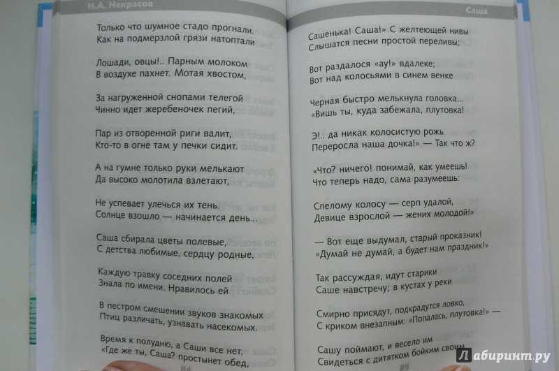 Стих Саша Некрасов. Анализ стихотворения саши