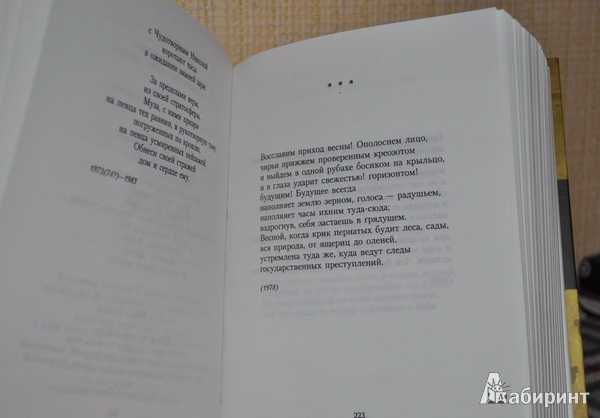 Иосиф бродский 📜 осенний крик ястреба