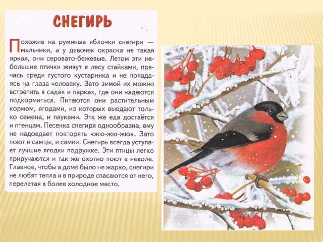 Сочинение-описание картины мокрый луг васильева (5, 8 классы)