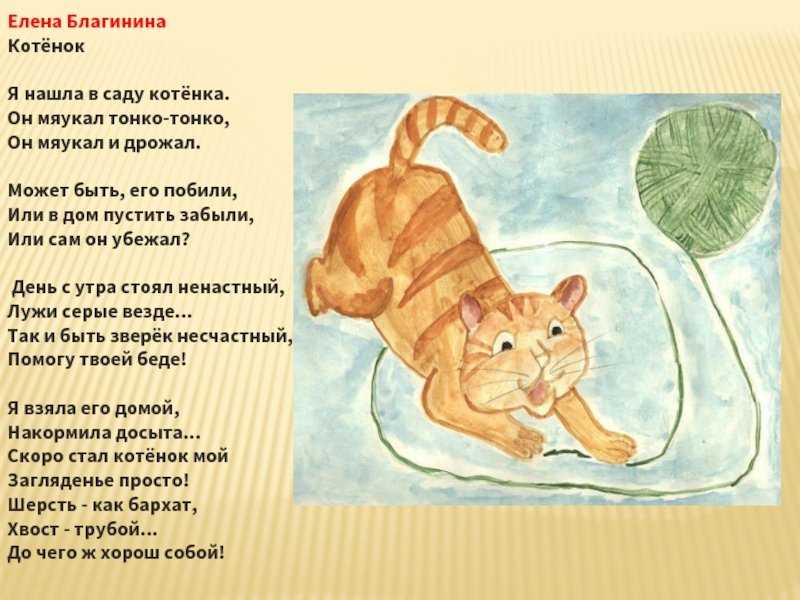 Стихотворение е а благининой кукушка. Стихотворение Елены Благининой котенок. Стихотворение котята. Стих котёнок Благинина.