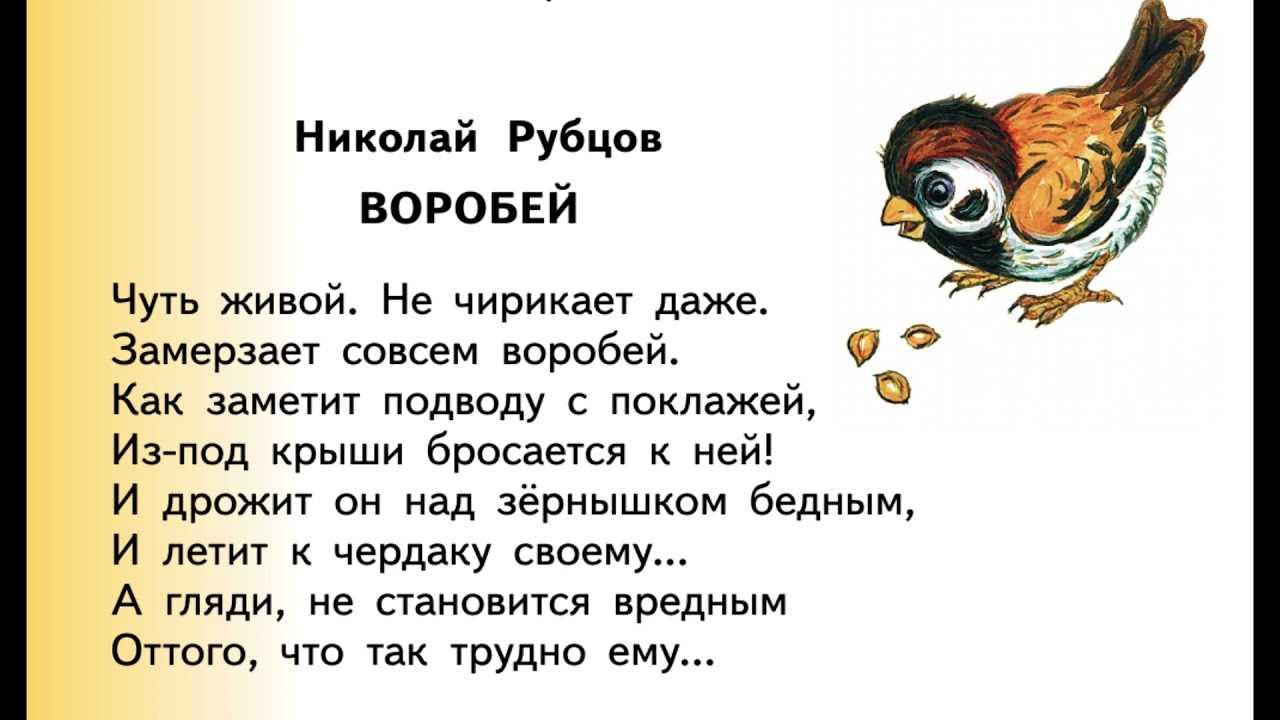 Николай рубцов, лучшие стихи, песни, биография, фотогалерея, аудиофайлы