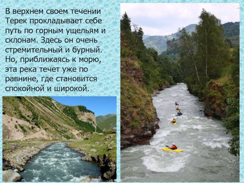 «дары терека» м. лермонтов