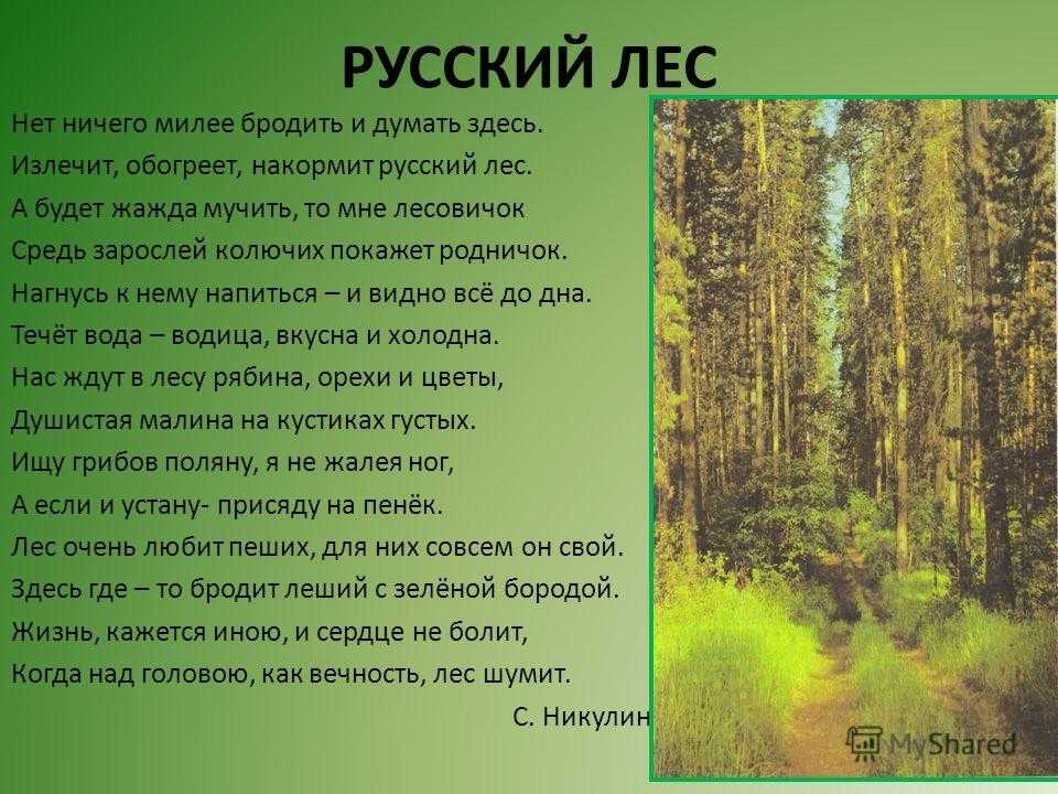 Рассказ второклассника о красоте животных родного края