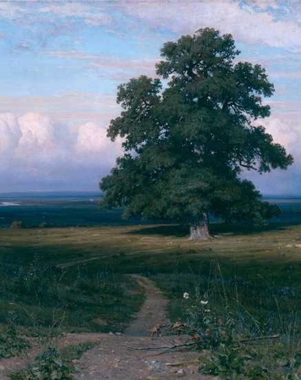 «среди долины ровныя» шишкин иван. год 1883. описание картины