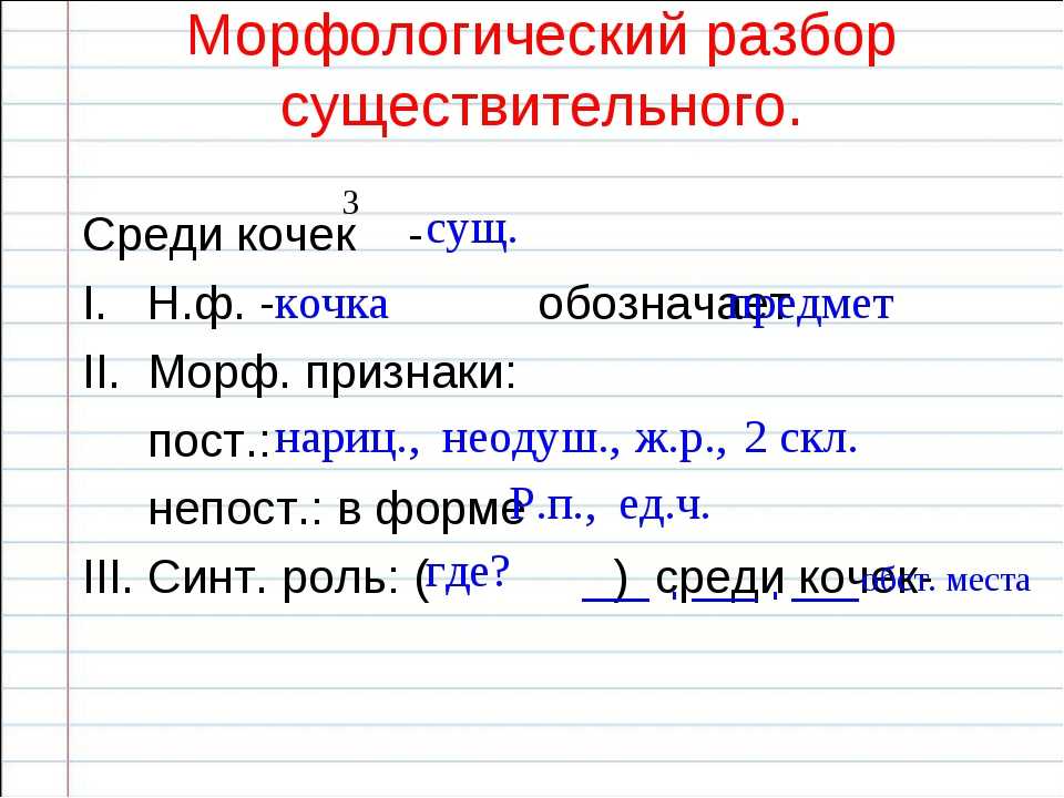 Что такое морфологический разбор слова: изучаем на примере причастия, прилагательного и других частей речи | tvercult.ru