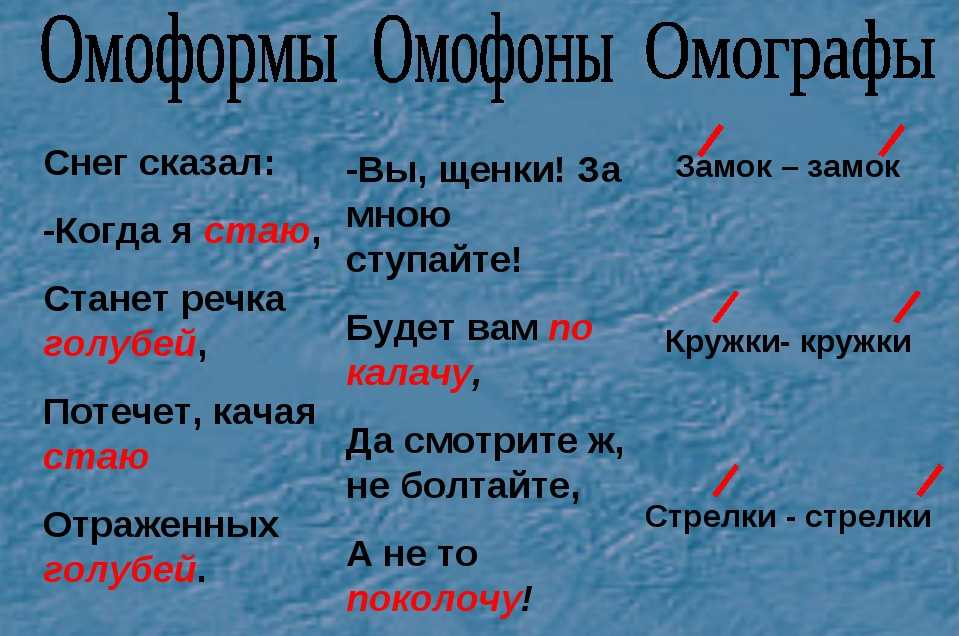 Омонимы, омоформы, омографы, омофоны • образавр