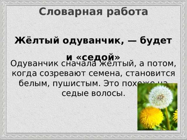 К бальмонт стих "золотое слово"🌻 - текст и анализ содержания - блог stihirus24