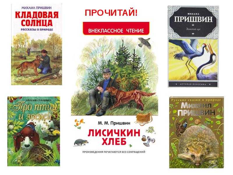 «кладовая солнца», анализ сказки пришвина