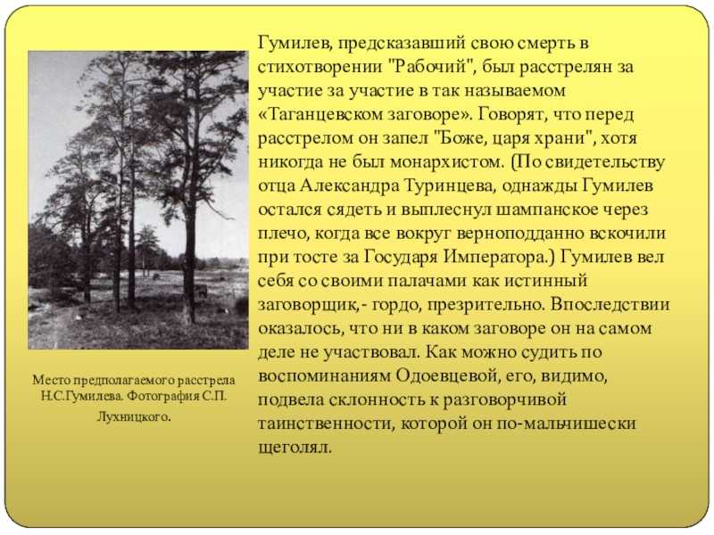 Анализ стихотворения гумилева «она» из сборника «чужое небо»