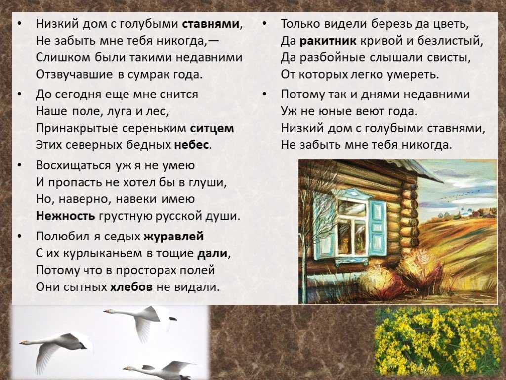 Низкий дом анализ