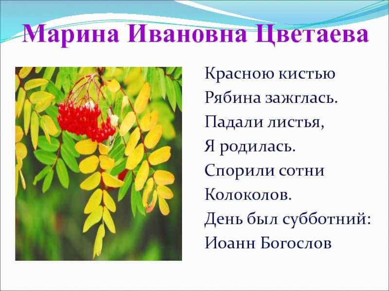 Марина цветаева 📜 красною кистью рябина зажглась