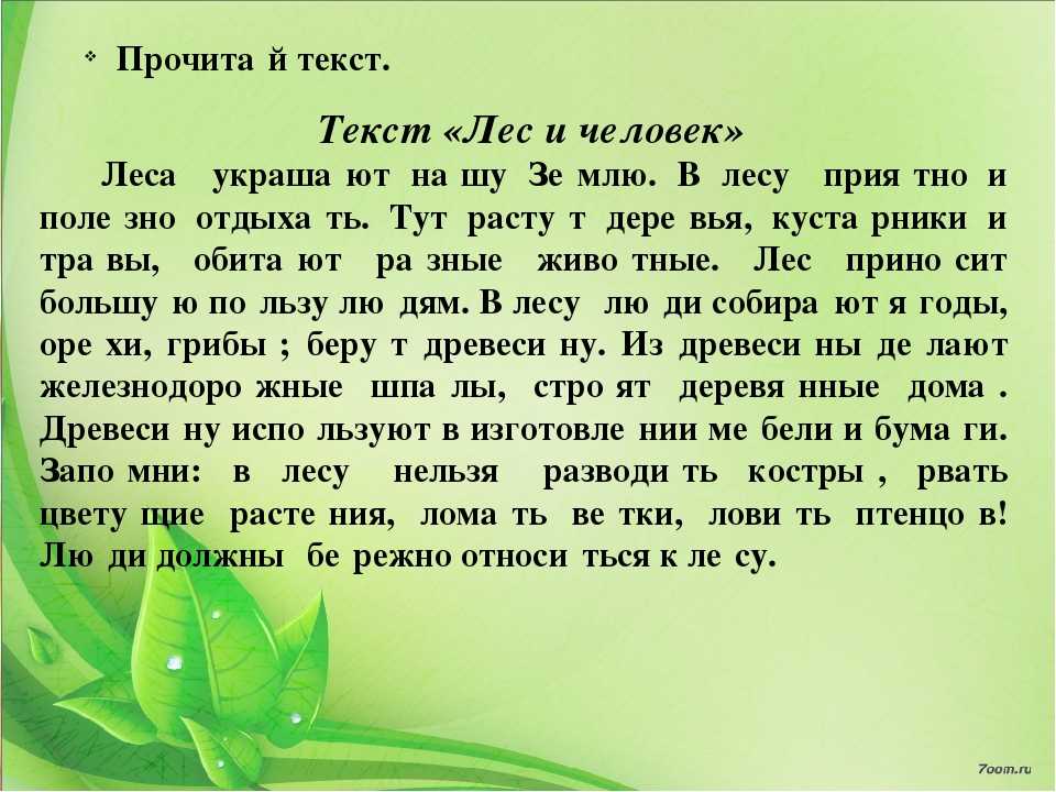 Сочинение поход в лес летом