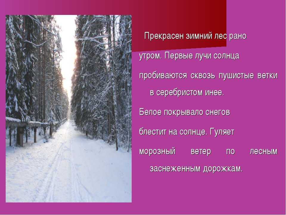 Сочинение зимний лес (лес зимой) 7 вариантов