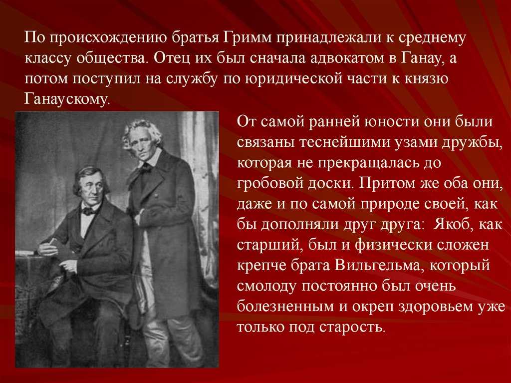 Краткая биография братьев гримм для школьников