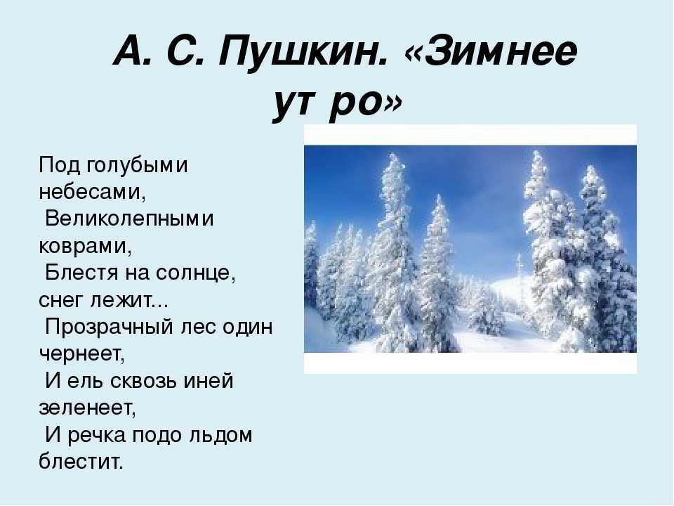 Стихи пушкина про зиму для детей