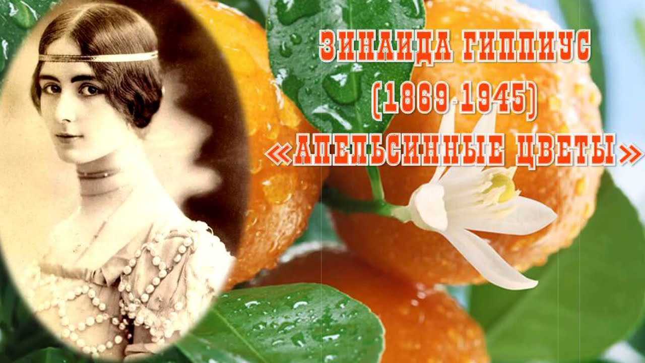Зинаида гиппиус 📜 апельсинные цветы