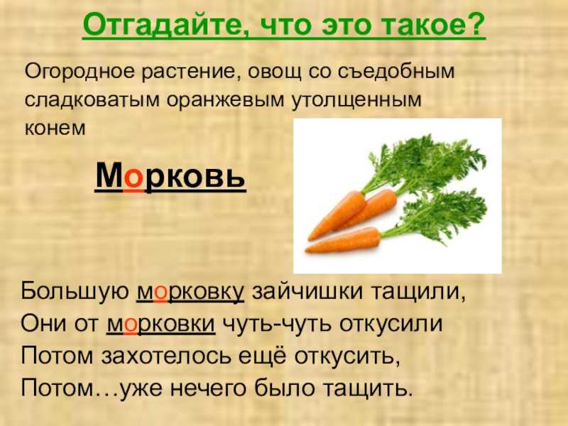Дразнилки и дурацкие стишки