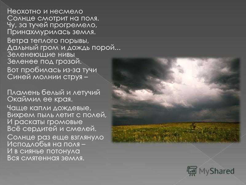 Не смолкавшие на минуту раскаты грома. Стихотворение ф и Тютчева неохотно и несмело. Стихотворений Тютчева ("неохотно. Ф.И. Тютчева "неохотно и несмело". Ф.И.Тютчев стихотворение "неохотно и несмело".