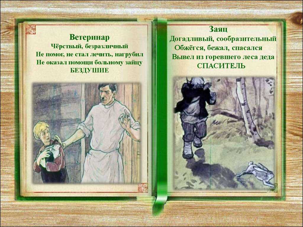 Паустовский к.г. “заячьи лапы” читательский дневник, краткое содержание