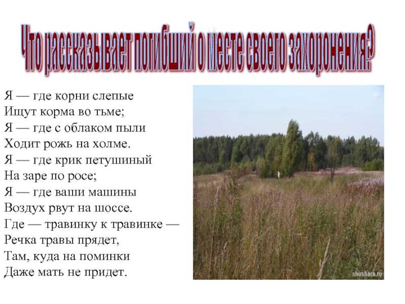 Меня во мраке и пыли. а.к