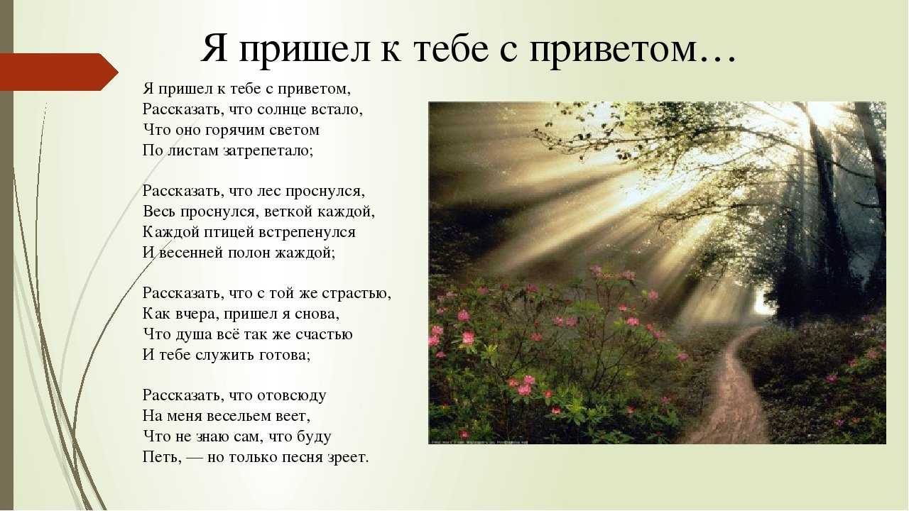 Природа в поэзии фета. «я пришел к тебе с приветом…»