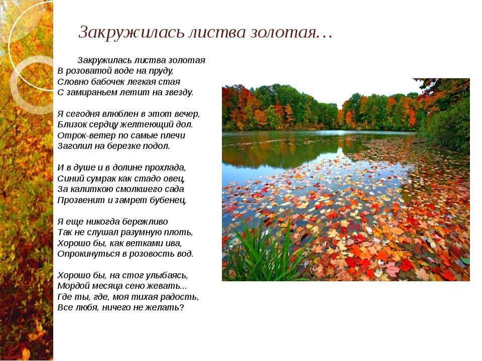 Анализ стихотворения «берёза» есенина