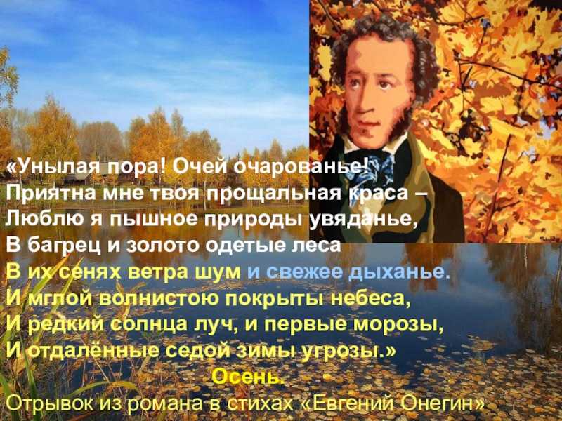 Краткий анализ стихотворения "унылая пора!.." по плану