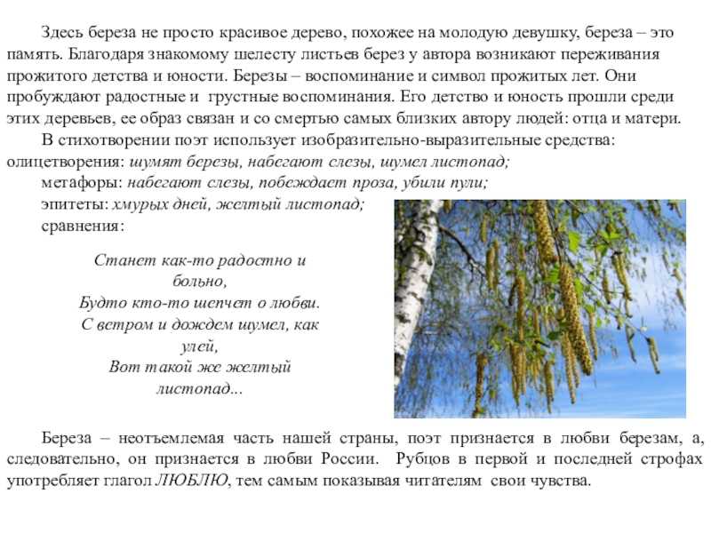 Анализ стихотворения бунина северная береза