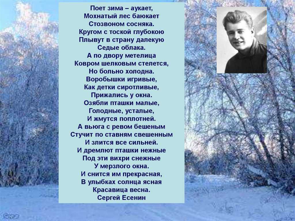 Зима поэзия